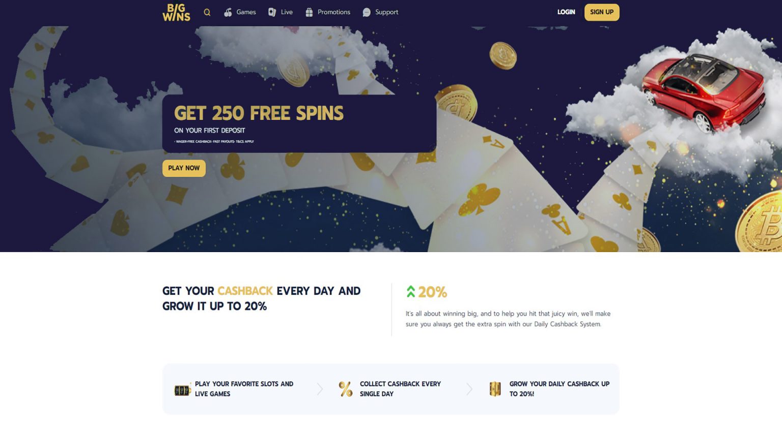 BigWins Online Casino-- Read 3 crucial points before 200 cash money rotates